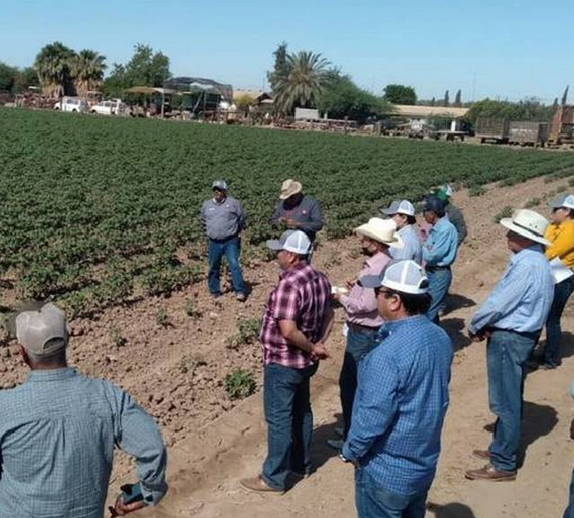PuntualRD | Walnesy Borquez se opone al desamparo de los productores agropecuarios, comerciantes y empresarios del campo