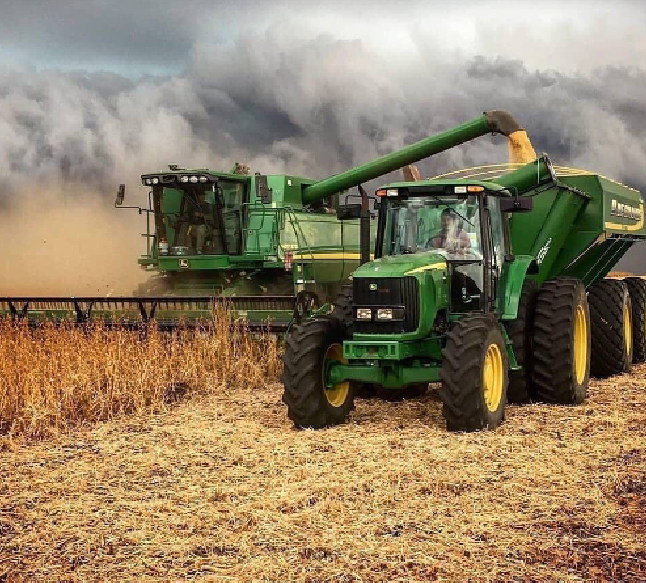 El Nuevo Diario | Borquez rechaza desamparo a productores agropecuarios y comerciantes